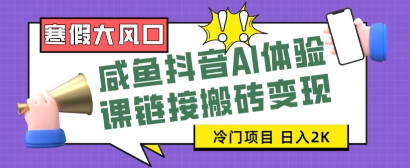 寒假大风口咸鱼抖音AI体验课链接搬砖变现，全网首发冷门项目，小白可日入2K+【揭秘】-雲鼎文化传媒