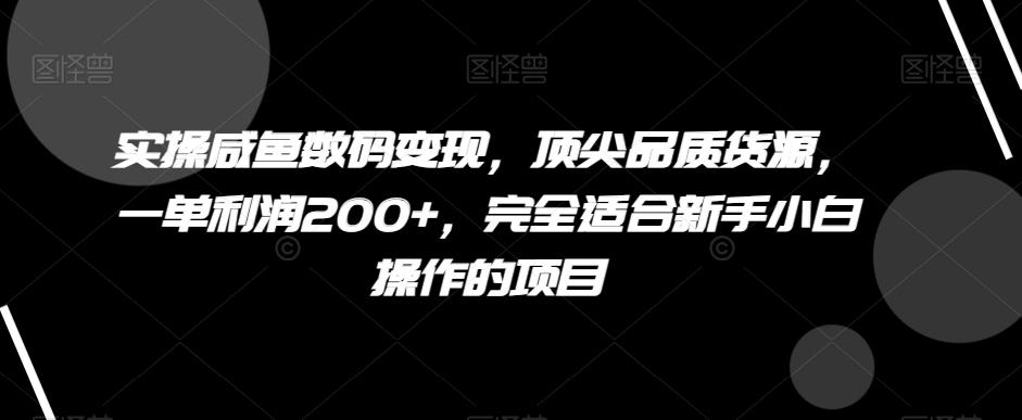 实操咸鱼数码变现，顶尖品质货源，一单利润200+，完全适合新手小白操作的项目【揭秘】-雲鼎文化传媒