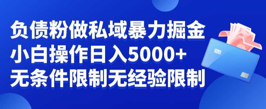 负债粉私域暴力掘金，小白操作入5000，无经验限制，无条件限制【揭秘】-雲鼎文化传媒