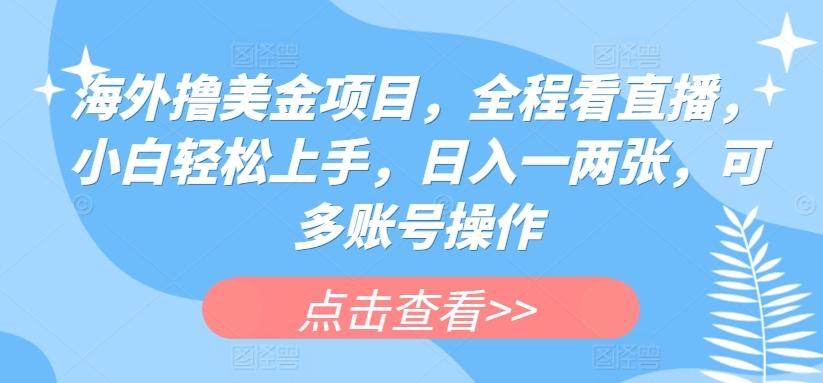 海外撸美金项目，全程看直播，小白轻松上手，日入一两张，可多账号操作【揭秘】-雲鼎文化传媒