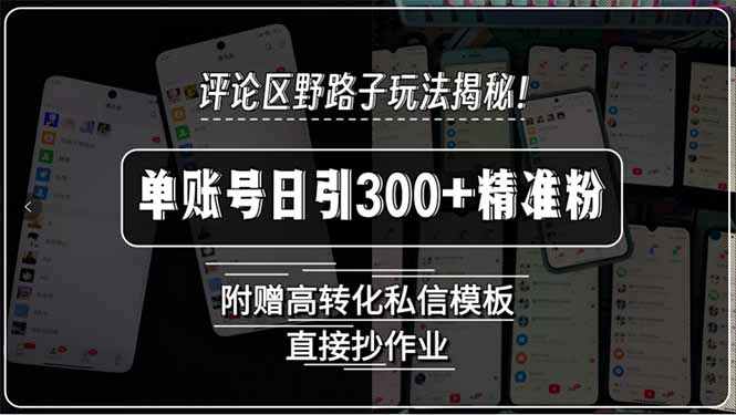评论区野路子玩法揭秘！单账号日引300+精准粉，附赠高转化私信模板，直…-雲鼎文化传媒