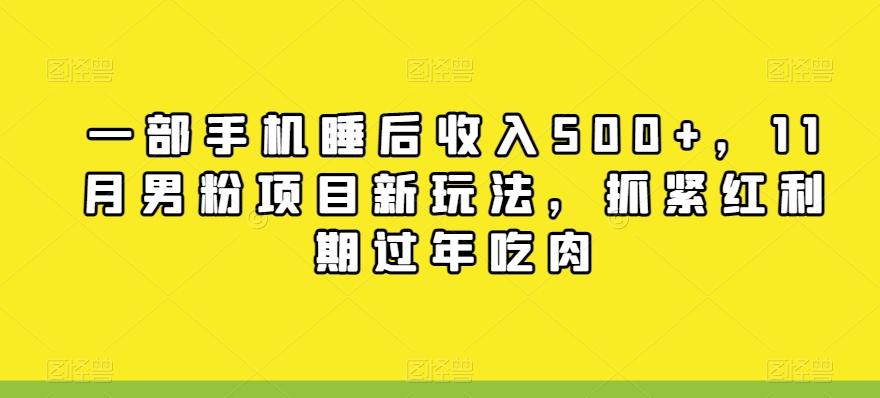 一部手机睡后收入500+，11月男粉项目新玩法，抓紧红利期过年吃肉-雲鼎文化传媒