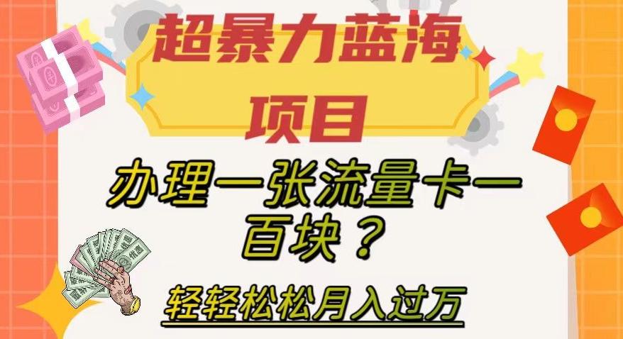 超暴力蓝海项目，办理一张流量卡一百块？轻轻松松月入过万，保姆级教程【揭秘】-雲鼎文化传媒