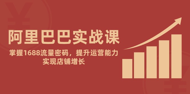 阿里巴巴实战课：掌握1688流量密码，提升运营能力，实现店铺增长-雲鼎文化传媒