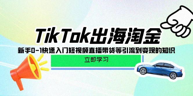 (10035期)TikTok-出海淘金，新手0-1快速入门短视频直播带货等引流到变现的知识-雲鼎文化传媒