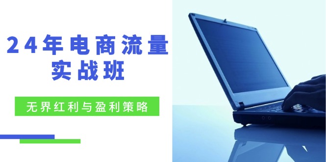 24年电商流量实战班：无界 红利与盈利策略，终极提升/关键词优化/精准…-雲鼎文化传媒