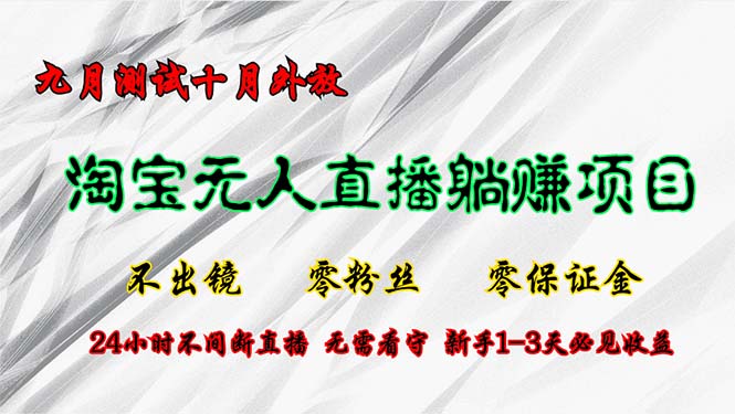 淘宝无人直播最新玩法，九月测试十月外放，不出镜零粉丝零保证金，24小…-雲鼎文化传媒