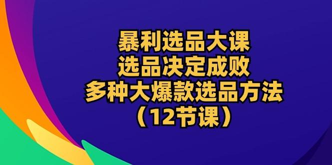 暴利 选品大课：选品决定成败，教你多种大爆款选品方法(12节课-雲鼎文化传媒