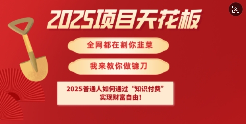 2025项目天花板普通人如何通过知识付费，实现财F自由【揭秘】-雲鼎文化传媒